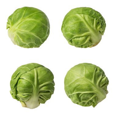 Beyaz arkaplanda Brüksel lahanası