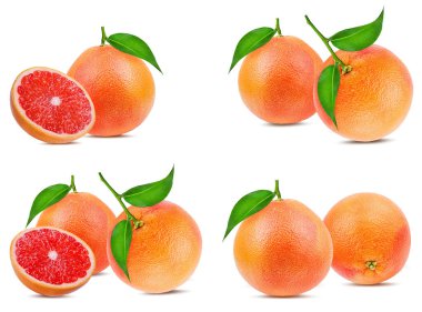 greyfurt beyaz arkaplanda izole