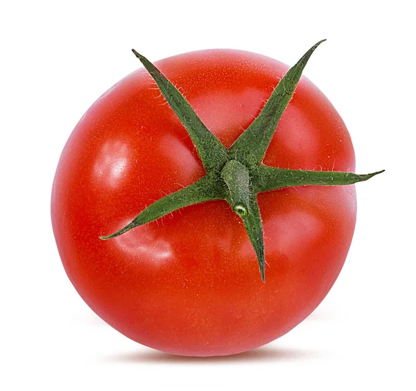 Tomate Isoliert Auf Weißem Hintergrund — Stockfoto