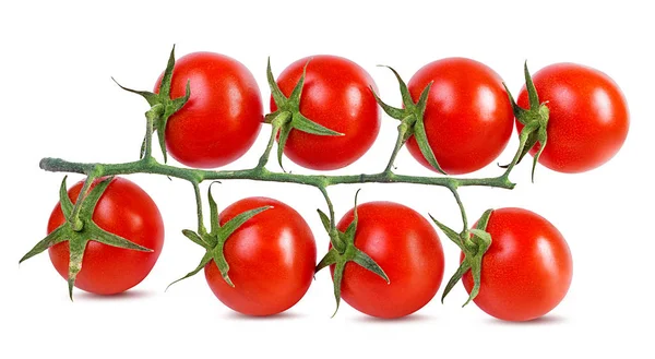 Tomate Aislado Sobre Fondo Blanco — Foto de Stock