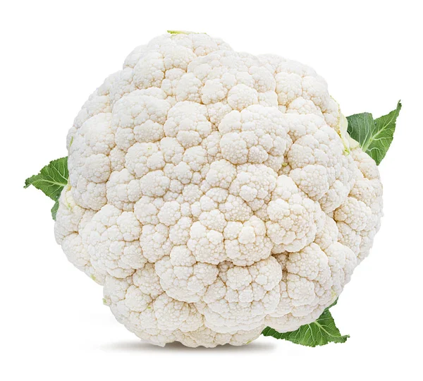 Cauliflower Isolated White Background — Stock Photo, Image