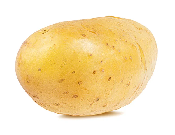 Potato Isolated White Background — Stock Photo, Image