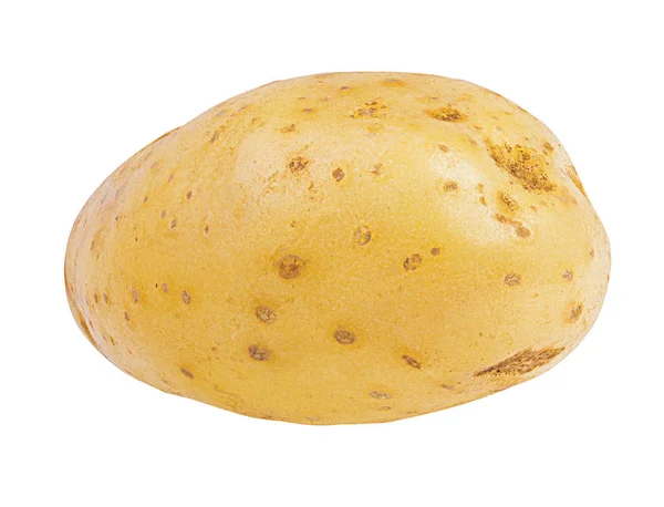 Aardappel Geïsoleerd Witte Achtergrond — Stockfoto