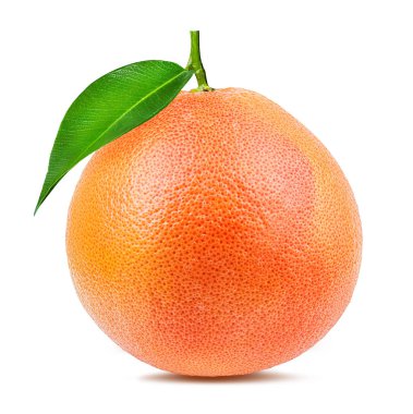 greyfurt beyaz arkaplanda izole