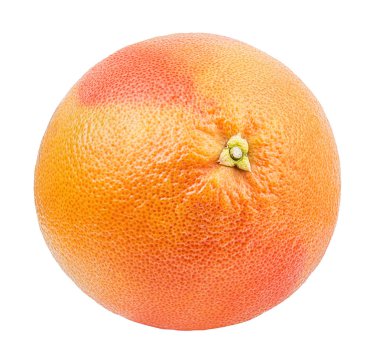 greyfurt beyaz arkaplanda izole