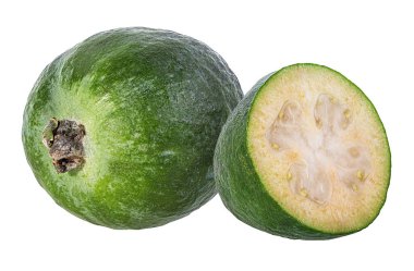 Feijoa beyaz zemin üzerine.
