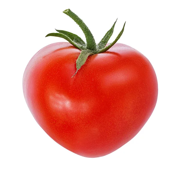 トマトは白い背景に隔離され — ストック写真