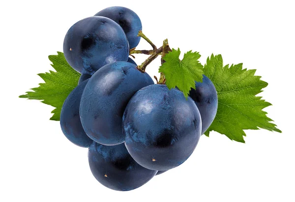 Verse Druiven Geïsoleerd Witte Achtergrond — Stockfoto