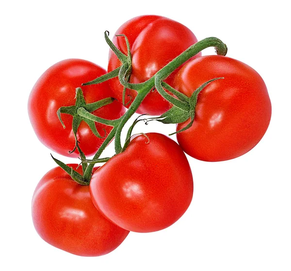 Tomate Aislado Sobre Fondo Blanco — Foto de Stock