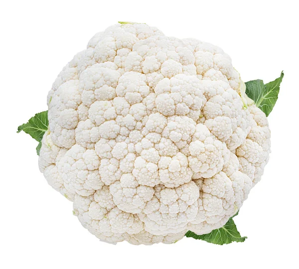 Cauliflower Isolated White Background — Stock Photo, Image