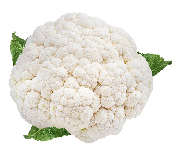 Cauliflower Isolated White Background — Stock Photo, Image