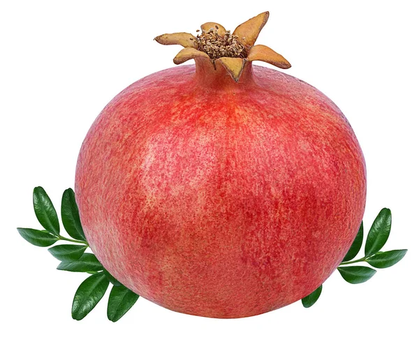 Fresh Pomegranate Isolated White Background — Stock Photo, Image