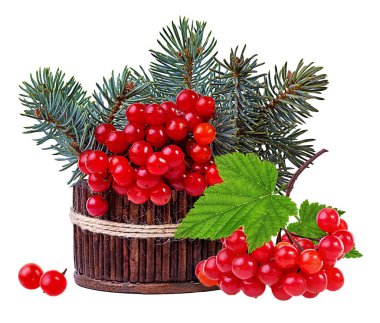 Noel dekorasyon-ağaç ve üzerinde beyaz izole kırmızı kartopu, demet