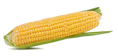 beyaz arkaplanda izole mısır