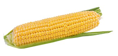 beyaz arkaplanda izole mısır