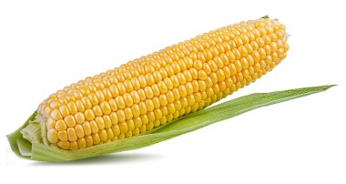 beyaz arkaplanda izole mısır