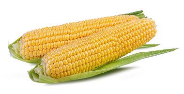 beyaz arkaplanda izole mısır