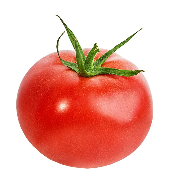 바탕에 토마토를 — 스톡 사진