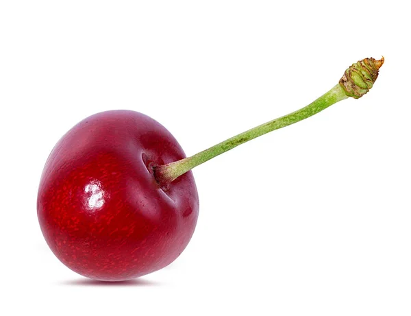 Cereza Con Hojas Aisladas Sobre Fondo Blanco — Foto de Stock