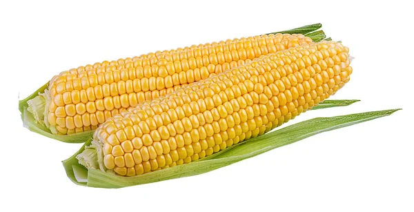 Corn Isolated White Background — Stock Photo, Image