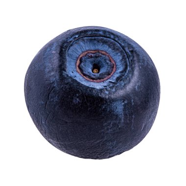 Beyaz, arka plan izole taze yaban mersini