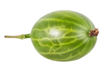 kruisbes geïsoleerd op witte achtergrond