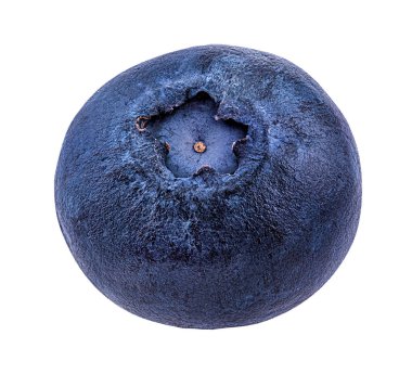 Beyaz, arka plan izole taze yaban mersini