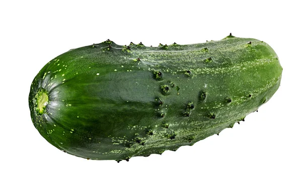 Salatalık Beyaz Arkaplanda Izole Edildi — Stok fotoğraf