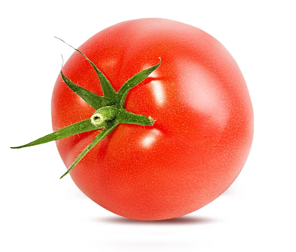 Pomodoro Isolato Fondo Bianco — Foto Stock