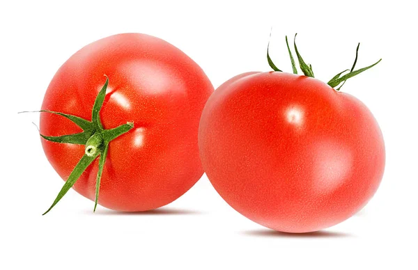 Tomate Isolado Sobre Fundo Branco — Fotografia de Stock