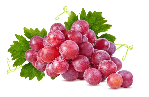 Fresh Grapes Isolated White Background — Stock Photo, Image