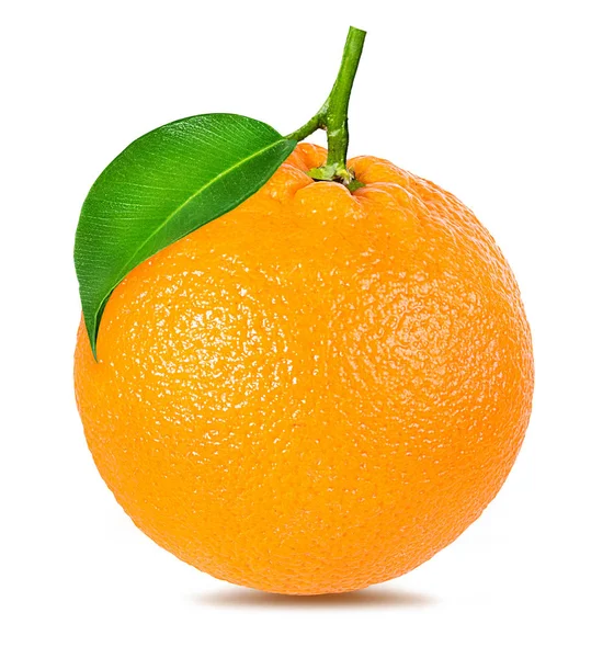 白色背景下孤立的成熟橙 — 图库照片