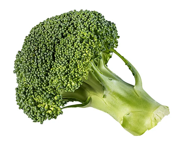 Broccoli Isolated White Background — Stock Photo, Image