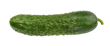 salatalık beyaz arkaplanda izole edildi