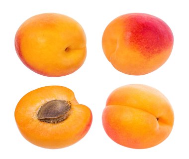 Kayısı beyaz arkaplanda izole edildi