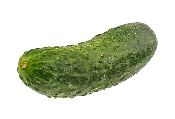 Cucumber Isolated White Background — Stock Photo, Image
