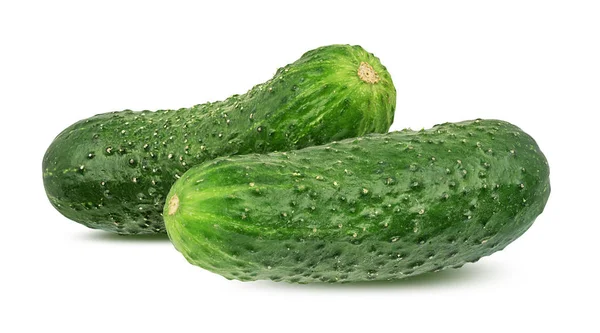 Cucumber Isolated White Background — Stock Photo, Image