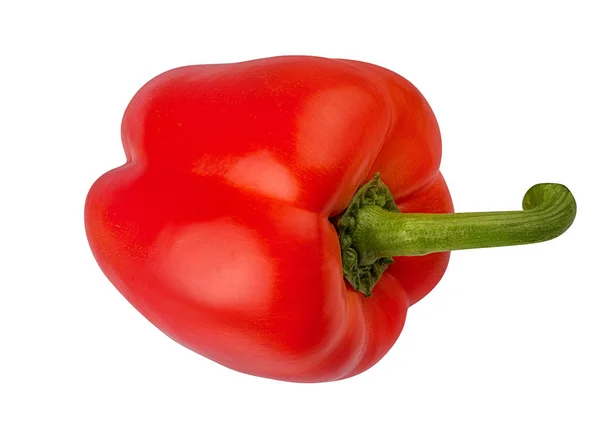 Red Peppers Isolated Clipping Path — Stock Photo, Image