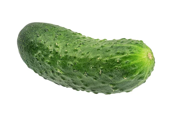 Cucumber Isolated White Background — Stock Photo, Image