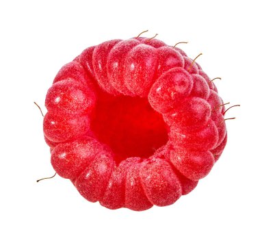 Ahududu beyaz arkaplanda izole edildi