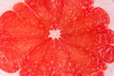 greyfurt beyaz arkaplanda izole