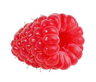 Ahududu beyaz arkaplanda izole edildi