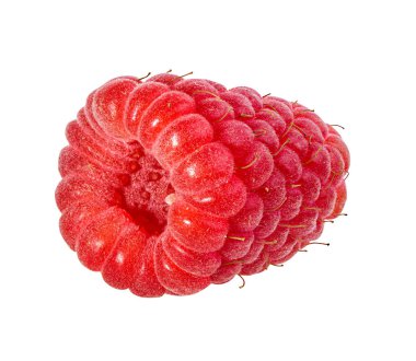 Ahududu beyaz arkaplanda izole edildi