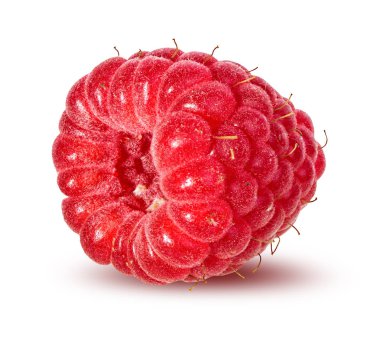 Ahududu beyaz arkaplanda izole edildi