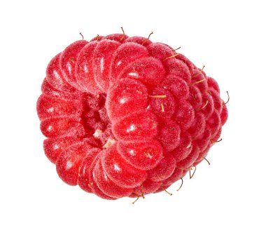 Ahududu beyaz arkaplanda izole edildi