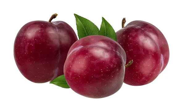 Plum Pada Latar Belakang Putih — Stok Foto