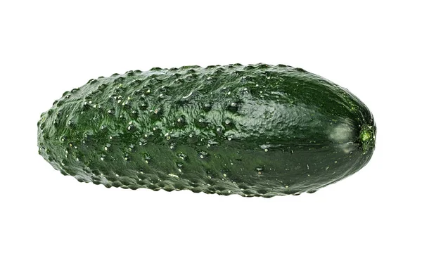 Cucumber Isolated White Background Stock Image