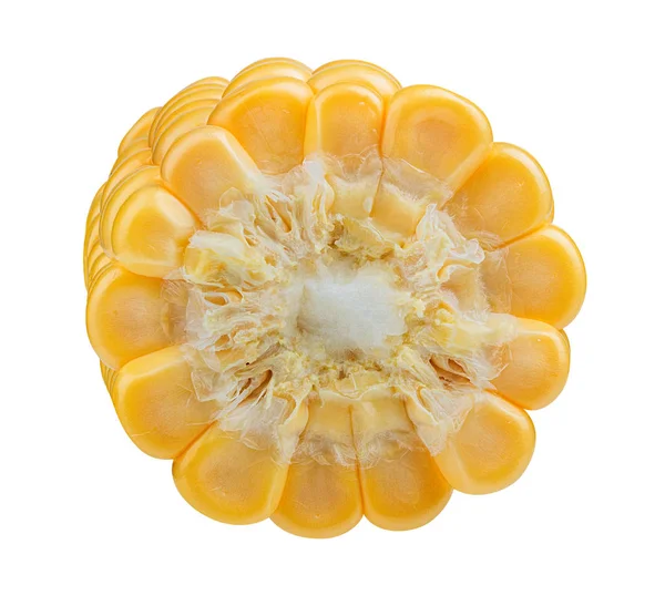 Corn Isolated White Background — Stock Photo, Image