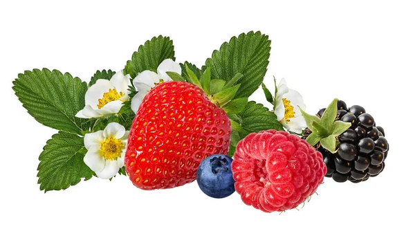 Collection Fresh Berries Isolated White Background — Stock Photo, Image