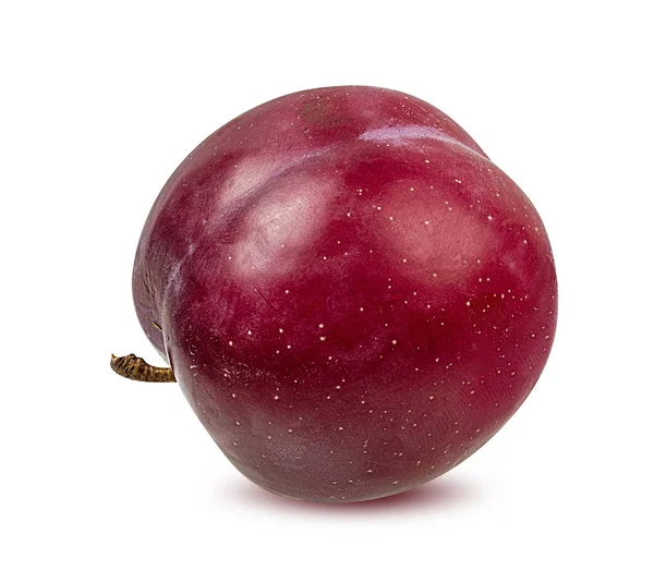 Plum Een Witte Achtergrond — Stockfoto